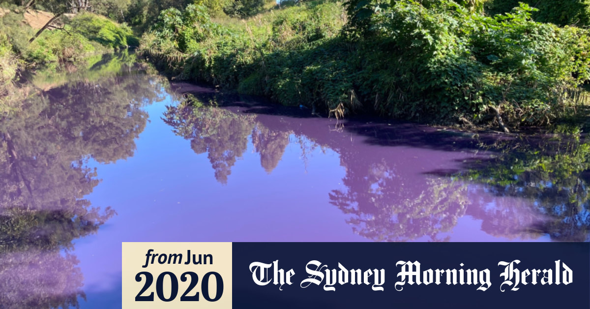 sydney morning herald
