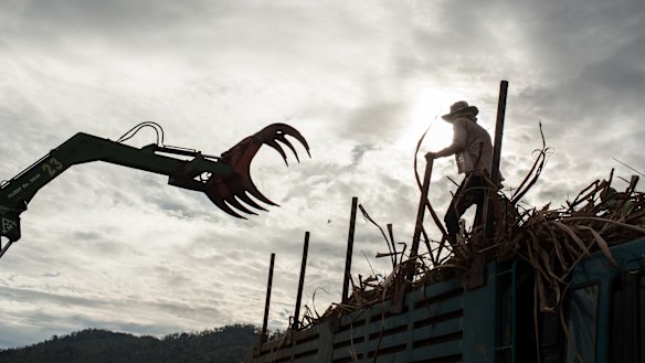 Machinery is used to load trucks with sugar cane at the Phnom Penh Sugar plantation in Cambodia.