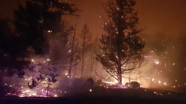 Queensland has been gripped by a bushfire crisis in recent days, including in Cambooya in the Toowoomba Region.