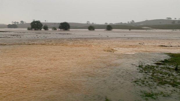 Mr Orr's farm covered in water during Tuesday's heavy rain near Murrumbateman.