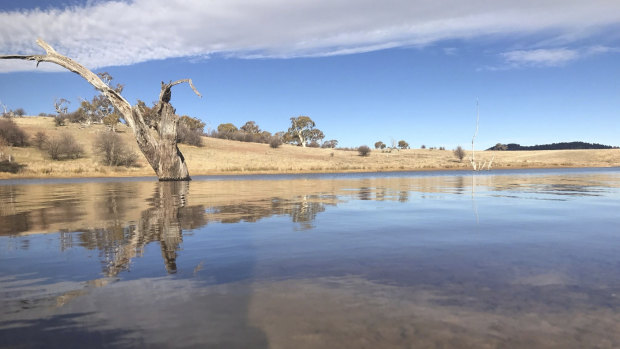 The Eucumbene Trout Farm, where about 100 fish have died in the past few days.
