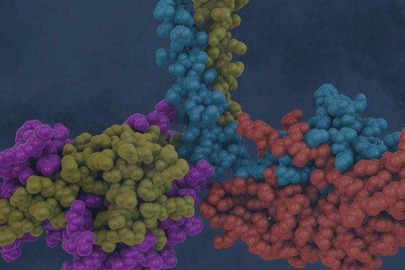 Proteomics International Laboratories has an evolving portfolio of diagnostic techniques that identify proteins found in people with targeted clinical conditions.