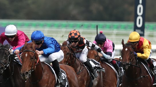 Sequista, second from the left, finishing fourth to Tempted in the Percy Sykes Stakes.