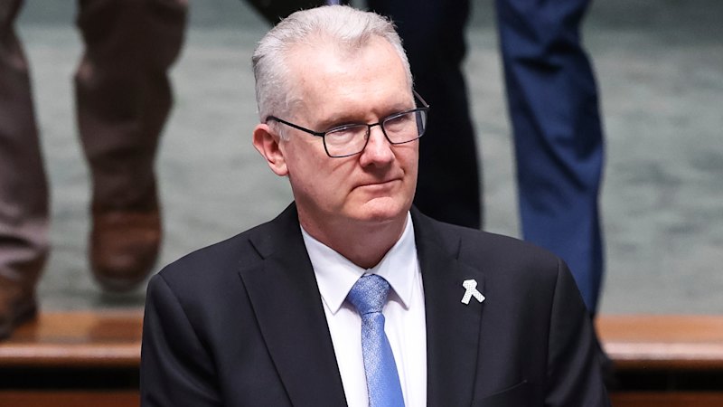 Antisemitism laws to push constitutional limit, says Burke