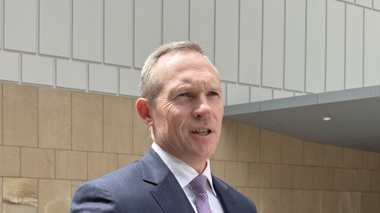 Energy Minister Mick de Brenni outside the Federal Court in Brisbane on Thursday morning. 