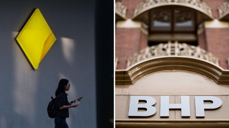 BHP leaves CBA in the dust as Big Australian's share price soars