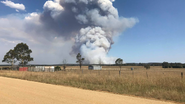 The bushfire burning in Rosedale. 