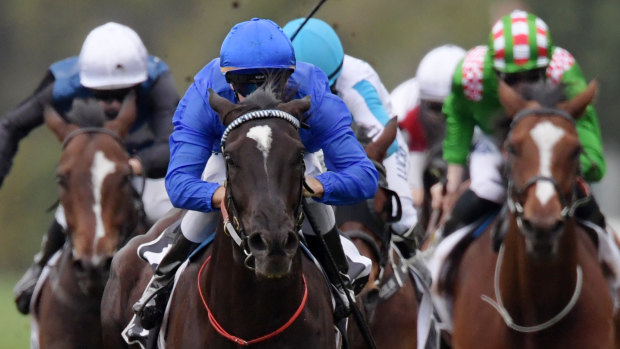 True blue: Godolphin could have a Caufield Cup contender in Avilius.