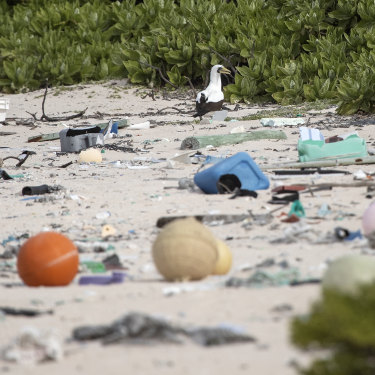 It's estimated that 3500 new items wash up on Henderson Island each day.