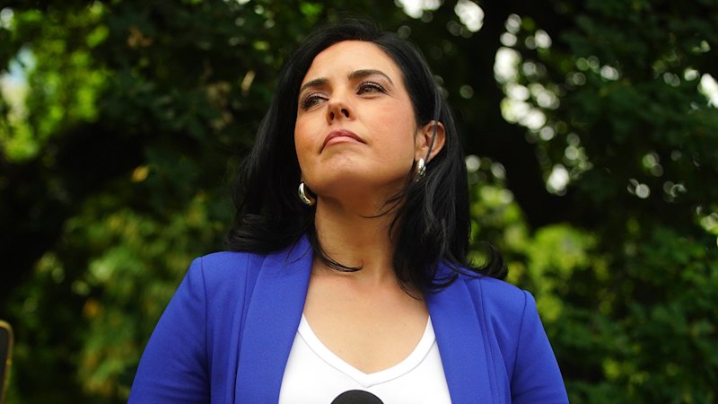 Liberals set to dump Moira Deeming as candidate after court challenge backdown (australia) — SMH