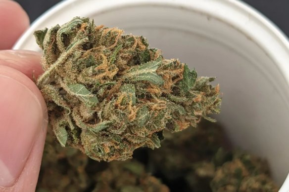 Australian medicinal cannabis company Montu sells the Circle brand of cannabis.