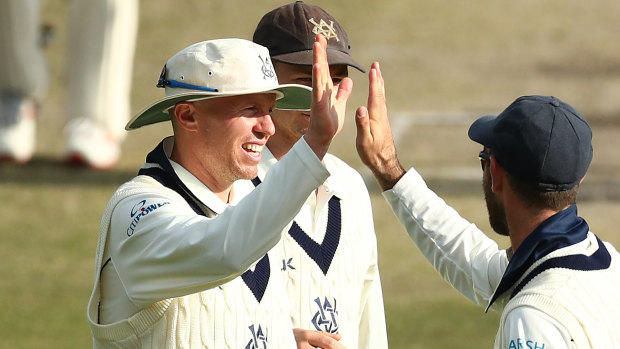 Breakthrough: Peter Siddle in action for Victoria on day three against South Australia.