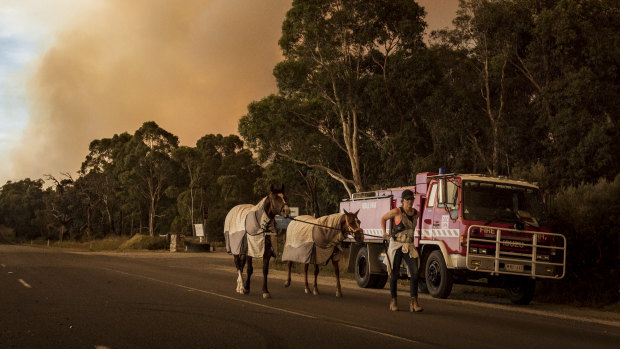 Vanessa Costello leads her horses Duck and Fuzzy along Tynong North Road, out of the bushfire's path. 