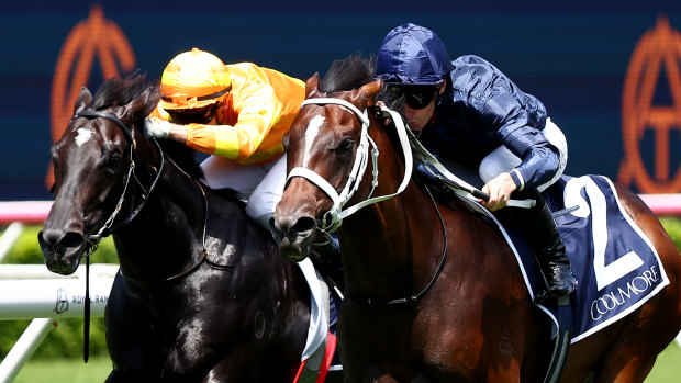 Switzerland (right) gets the better of Shangri La Express in the Pierro Plate at Randwick.