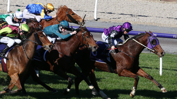 Parwan Prince, trained and ridden by Jade Darose, wins race 3 at Flemington on Saturday.