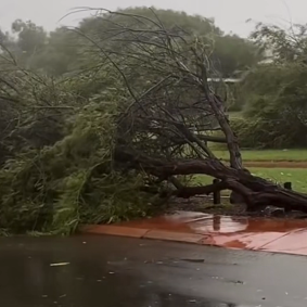 Minor damage was caused by falling trees.