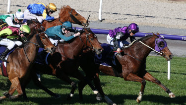 Parwan Prince, trained and ridden by Jade Darose, wins race 3 at Flemington on Saturday.