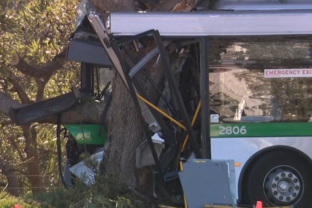 Bus crash on Joondalup Drive in Wanneroo, Perth