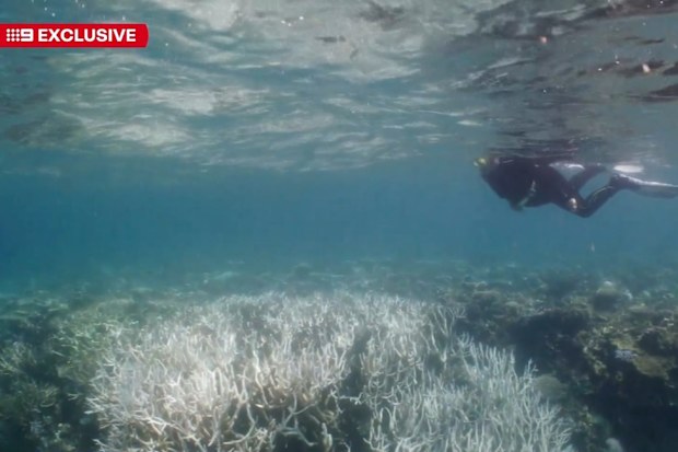 Great Barrier Reef