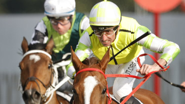 Nash Rawiller has had 14sanctions in the past year.