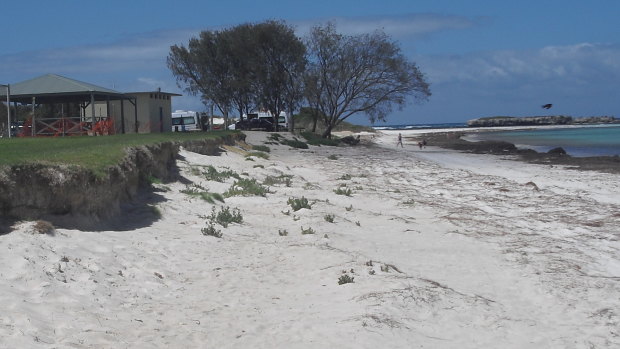 Photo of erosion threatening infrastructure at Grace Darling Park on December 3, before sand was replenished on Tuesday. 