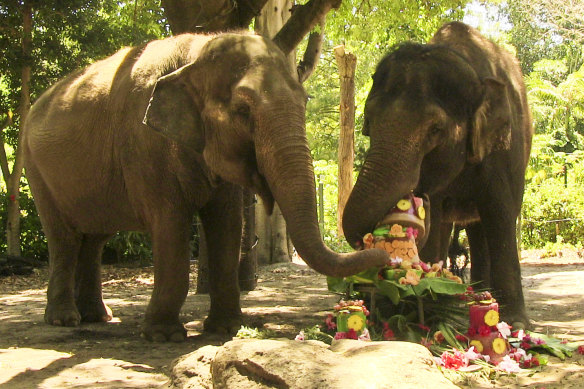 Tricia, left, celebrates her 56th birthday with Permai in 2013.