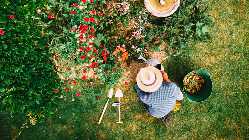 Exactly what to do in your garden after a stint away (beyond watering)