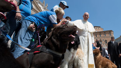 Pope says having pets instead of babies is selfish