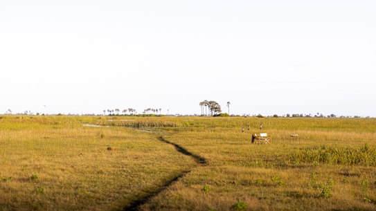 Wilderness DumaTau safari camp .
