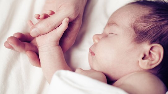 Australia's IVF rates revealed: one in every 25 births an IVF baby