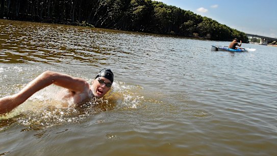 Three new swimming spots planned for the Parramatta River