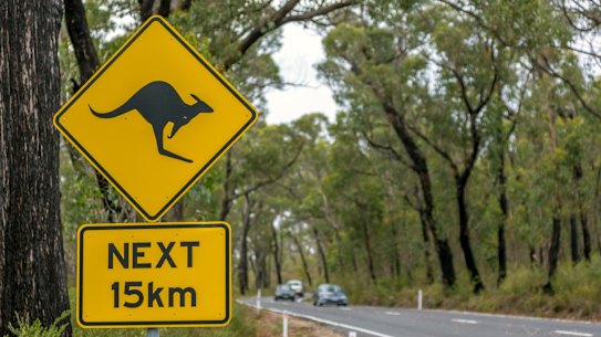 The US warns its citizens about Australia’s “narrow” roads that have just two lanes.