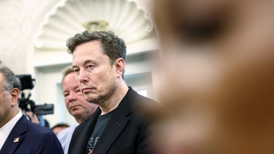 Tesla chief executive Elon Musk at the White House last week for a meeting between Donald Trump and South African President Cyril Ramaphosa.