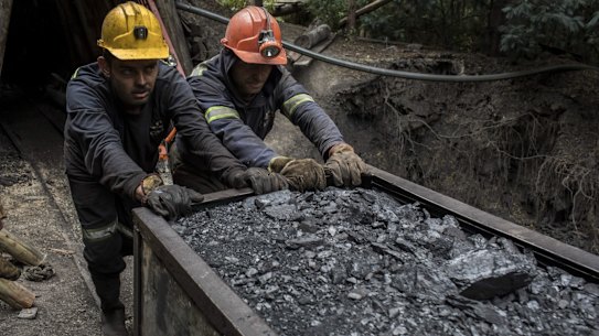 Glencore has slashed its global coal output projections, with Columbia and South Africa - rather than Australia - expected to take the brunt of reductions.