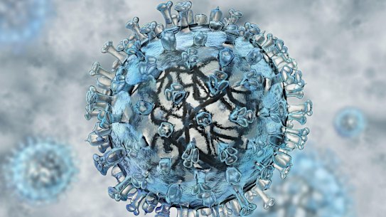 EMCEB5 Realistic model of flu virus. Credit: Alexey Kotelnikov / Alamy Stock Photo .