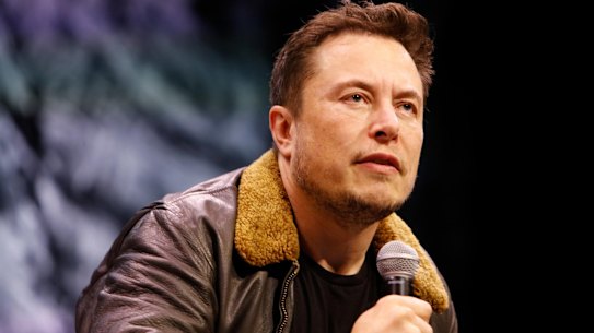 Why Elon Musk's brain is different to yours