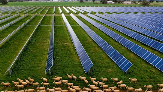 A solar farm in Dubbo. 