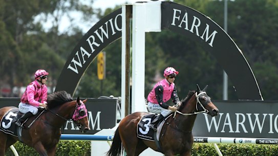 07012017. Sydney Races. Jockey Blake Shinn rides Colesberg to win race 1, The Happy 2017 Handicap, during Sydney Racing at Warwick Farm racecourse. Photos: Bradleyphotos.com.au .