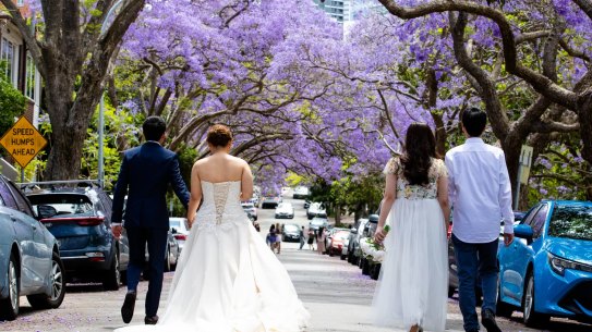 The street isn't seeing busloads of international tourists like normal due to the pandemic, but has instead seen a swarm of brides and international students this year. 