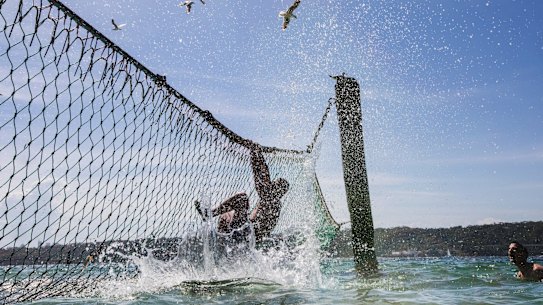 There are more than 50 shark nets on NSW beaches.