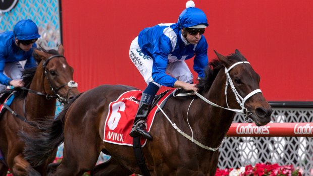'Great sadness': Winx loses her first foal