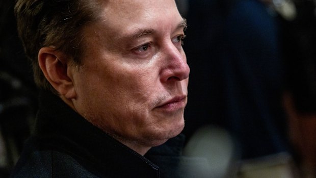 Elon Musk during a cabinet meeting at the White House in April.