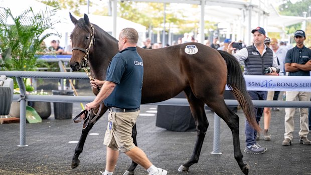WInx’s daughter looks at the camera before being sold for $10 million on Monday.