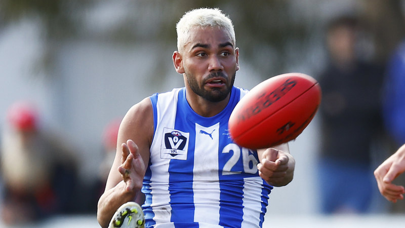 AFL 2023: Behaviour should come first, football ability second for North  Melbourne, AFL in Tarryn Thomas allegations