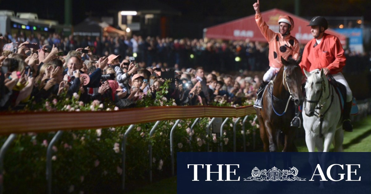 Seven Boss Sees Romance In Cox Plate Under Lights