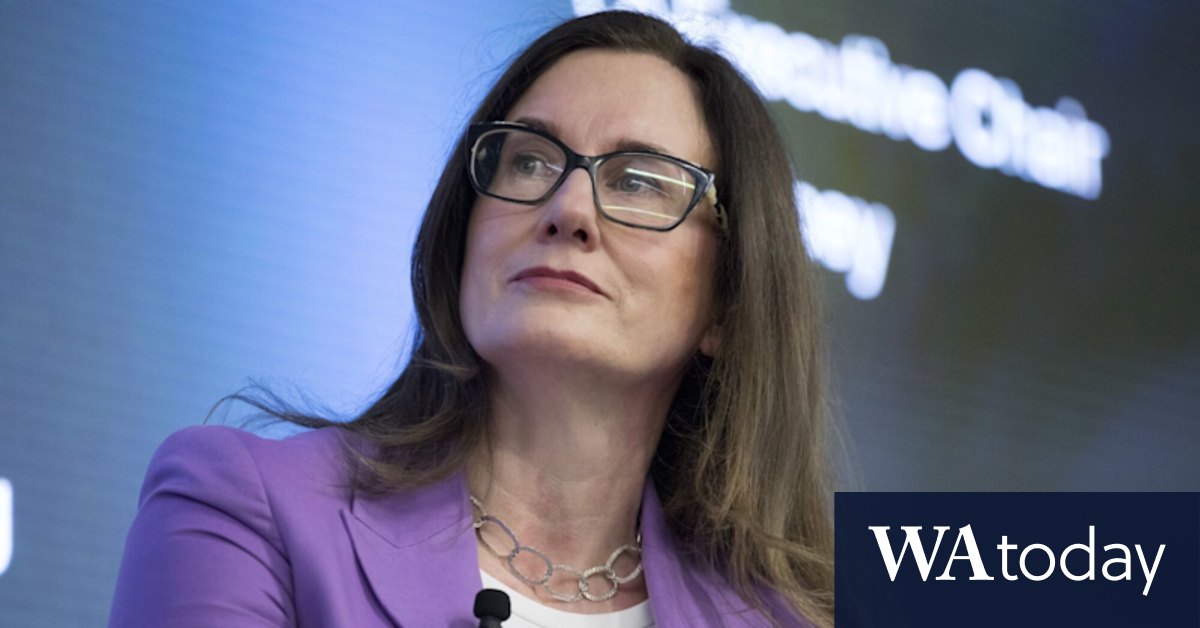 TPG pressured into buying and selling halt after improper firm was attributed