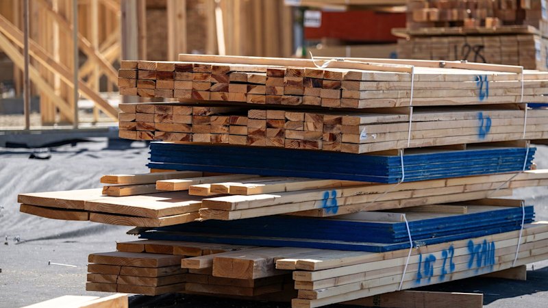 How laundered wood from Russia is bypassing Australian sanctions and funding the war in Ukraine