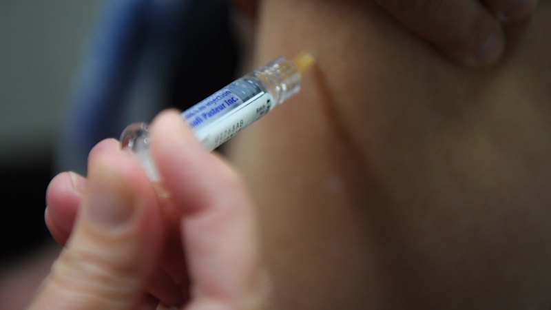 Experts urge Australians to get flu shots after highly pathogenic bird flu found in Western Australia