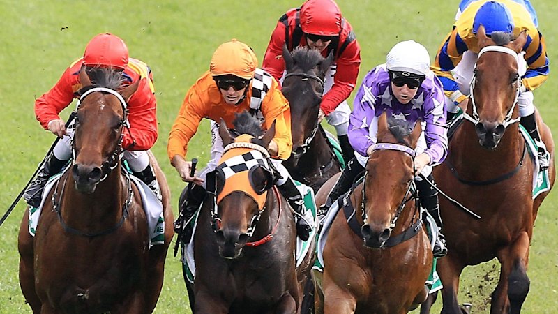 Race-by-race preview and tips for Grafton on Thursday