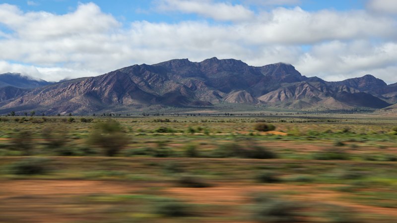 Outback desert fills with water for first time in 50 years after massive rains